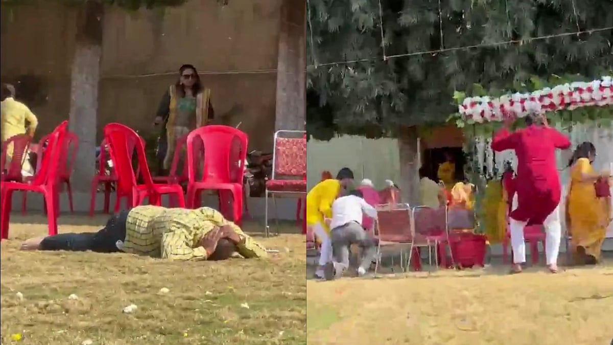 On Cam | Swarm Of Bees Attack Guests At Wedding In Madhya Pradesh, 12 Injured