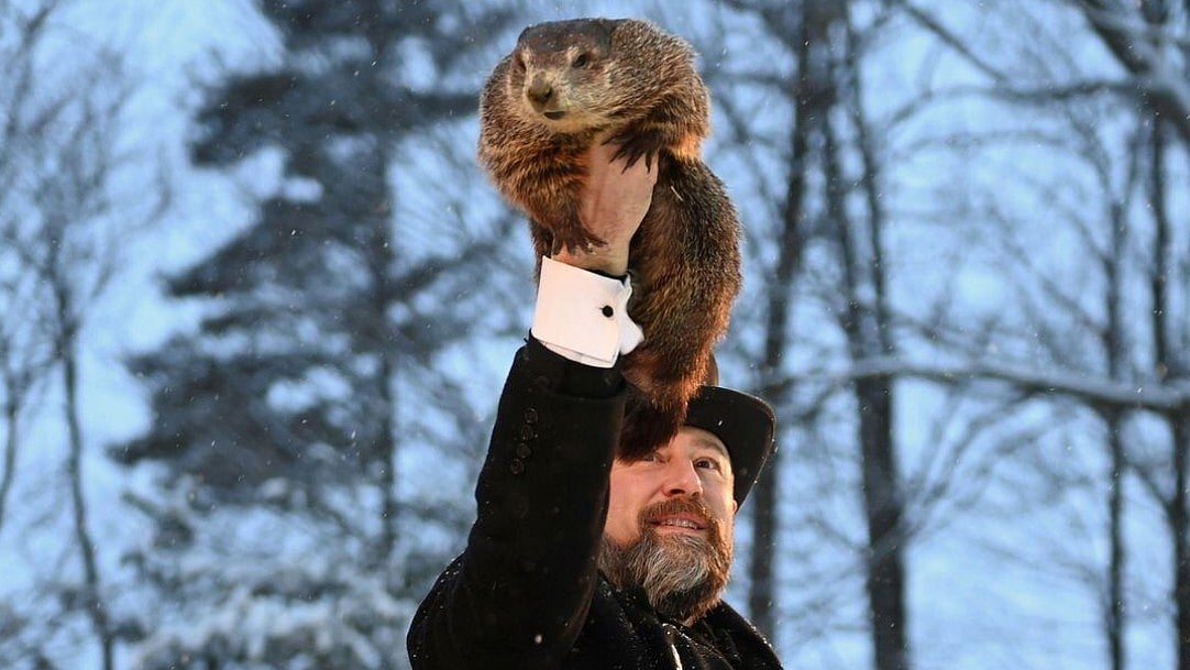 Courtesy: Reuters : Punxsutawney Phil Predicts An Early Spring