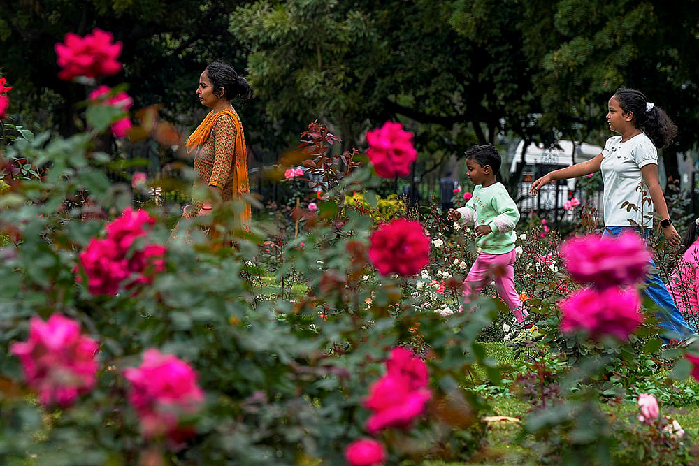 NDMCs Rose Festival in Delhi