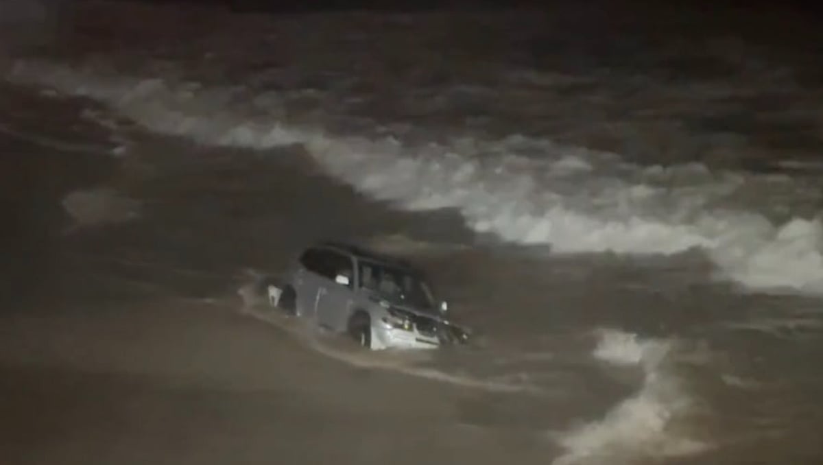 Two dogs, believed to be Boston Terriers, were found unharmed inside the vehicle after the crash. 