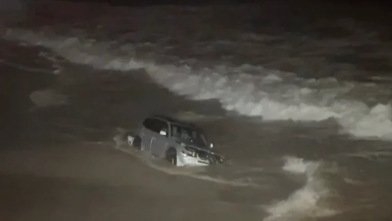 Two dogs, believed to be Boston Terriers, were found unharmed inside the vehicle after the crash. - null