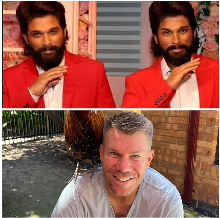 Allu Arjun,David Warner - Instagram