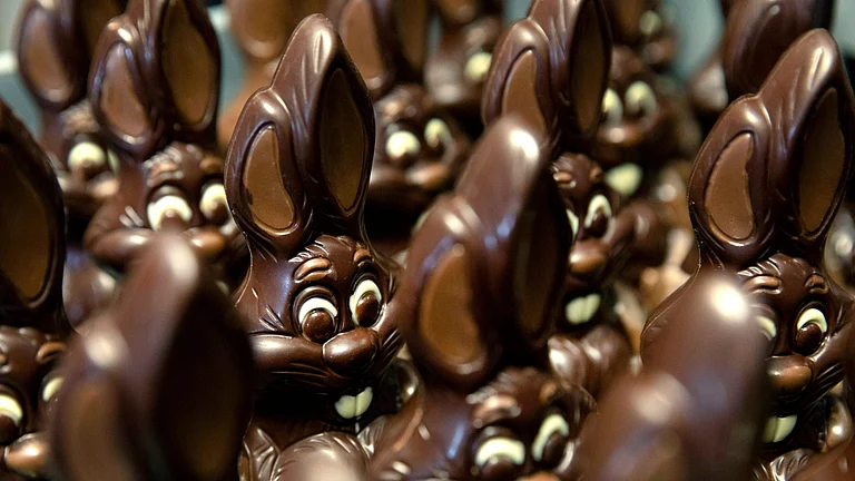 Chocolate rabbits wait to be decorated at the Cocoatree chocolate shop, April 8, 2020, in Lonzee, Belgium. - AP