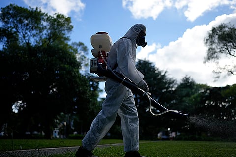 Argentina Dengue
