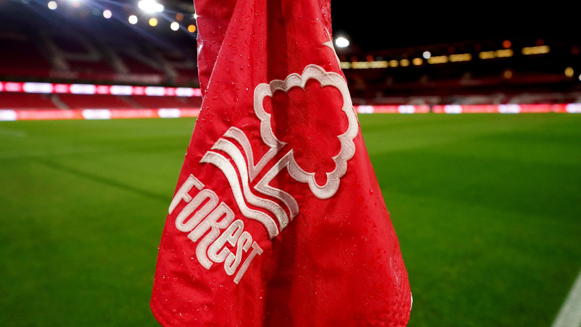 Mike Egerton/PA : The points deduction dropped Forest into the Premier League’s relegation zone, leaving them 18th with nine games to play.