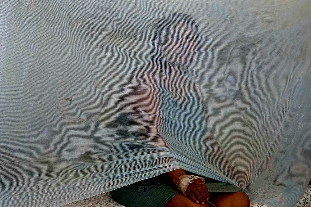 Peru Dengue