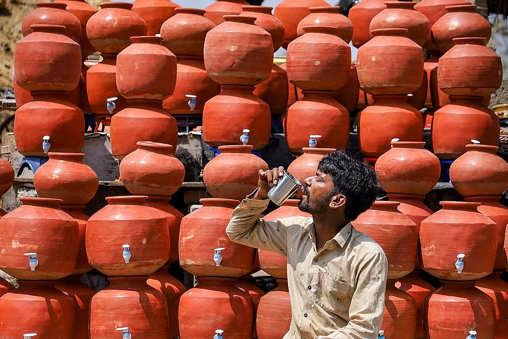 Photo: PTI : Water and food shortage for animals in Maharashtra's Chhatrapati Sambhajinagar