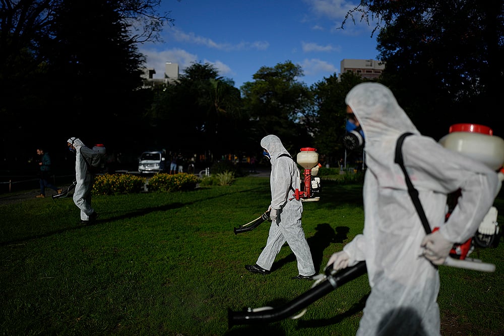 | Photo: AP/Natacha Pisarenko : Argentina Dengue