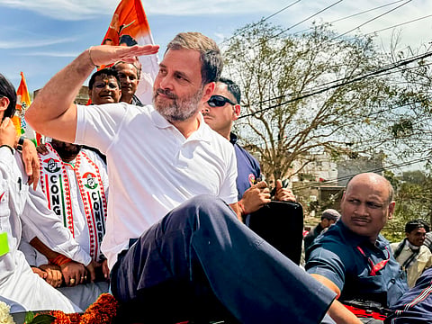 Congress MP Rahul Gandhi | 