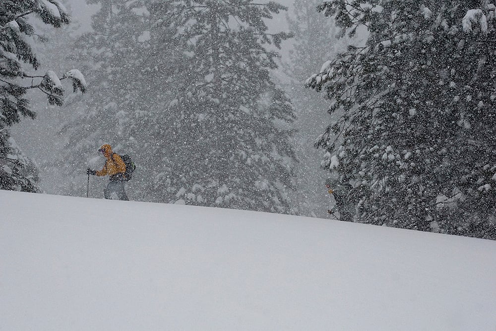 | Photo: AP/Brooke Hess-Homeier : California Snow Storm