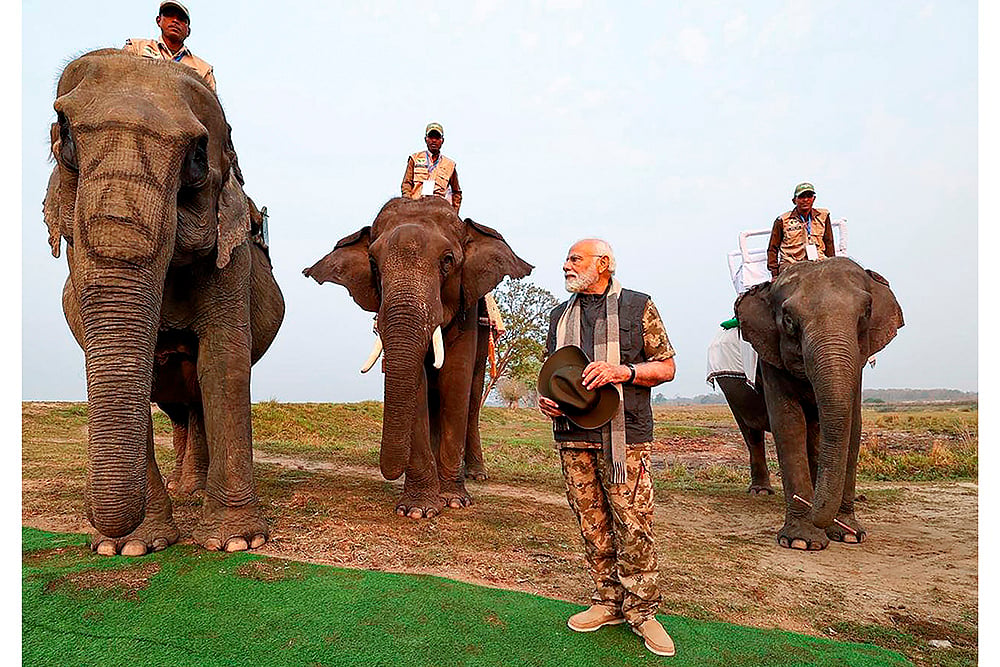 PM Modi at Kaziranga National Park