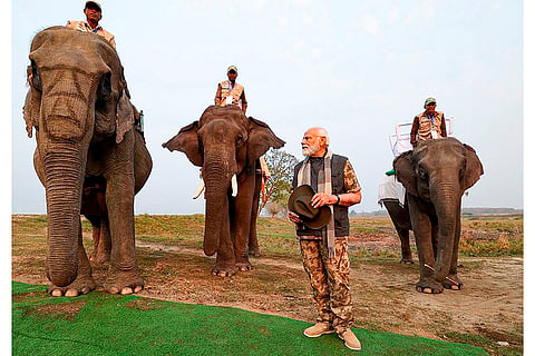 PM Modi at Kaziranga National Park