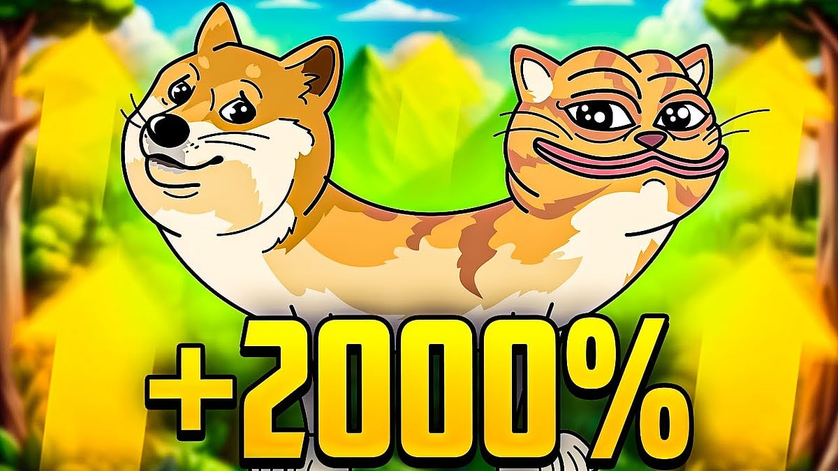 DogWifCat