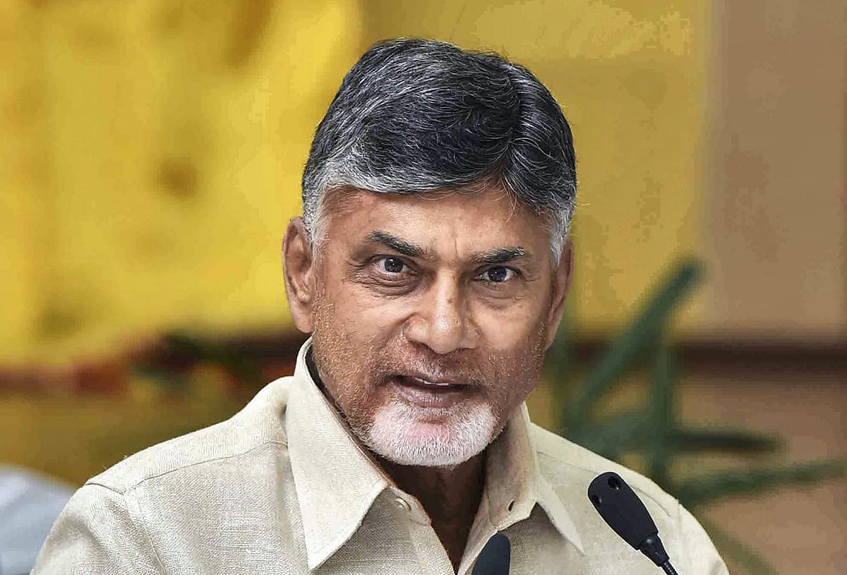 Telugu Desam Party chief N Chandrababu Naidu | - PTI