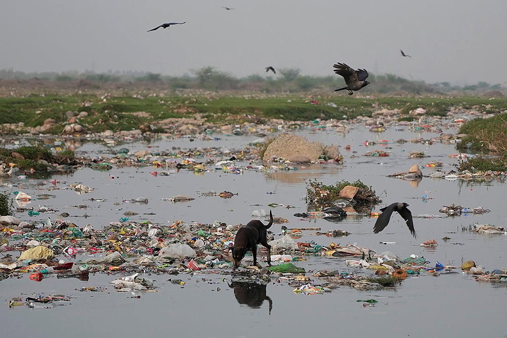 | Photo: AP/Channi Anand : Jharkhand High Court on Monday expressed serious concern over the depleting water table