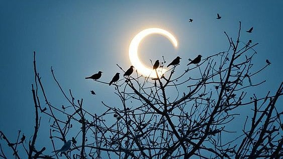 Representative image - Pinterest