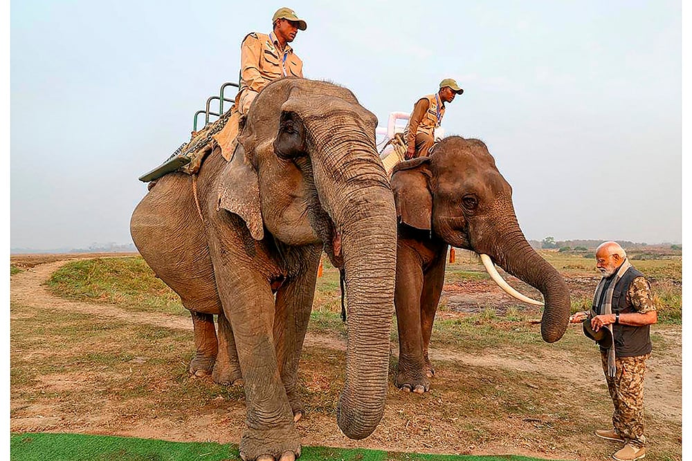 PM Modi at Kaziranga National Park