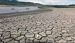 As El Niño Risks Grow, Is DSR The New Normal For Farmers? - null
