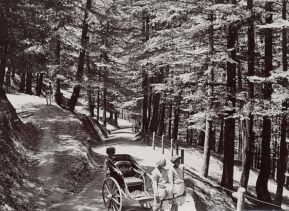 A bit near the Bonnie Moon on Jakko in Simla, India, 1900 - Getty Images
