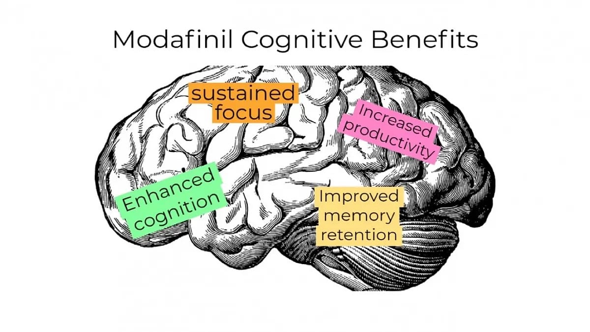 Modafinil Cognitive Benefits