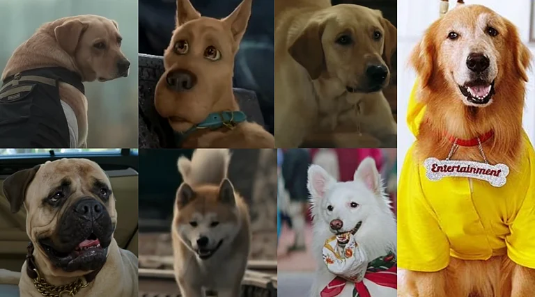 Charlie, Scooby-Doo, Marley, Pluto, Hatchi, Tuffy and Entertainment - YouTube