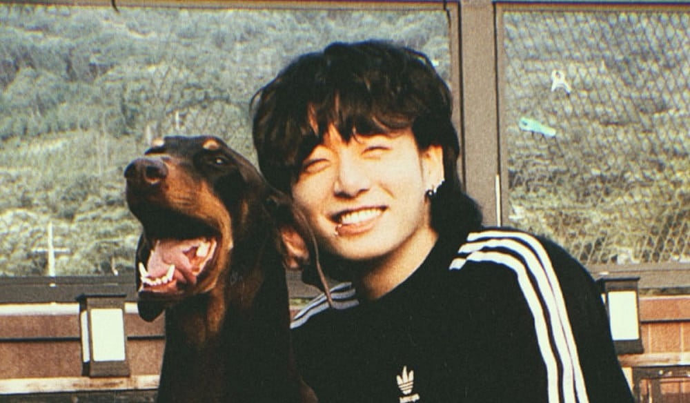 Instagram : Jung Kook and Bam