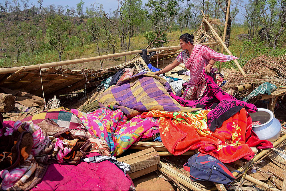 Aftermath of hailstorm in Kamrup