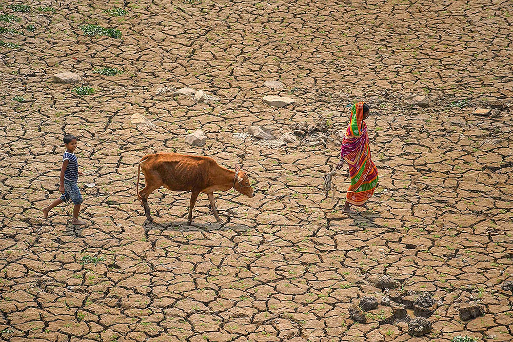 Dried-up lake in Nagaon