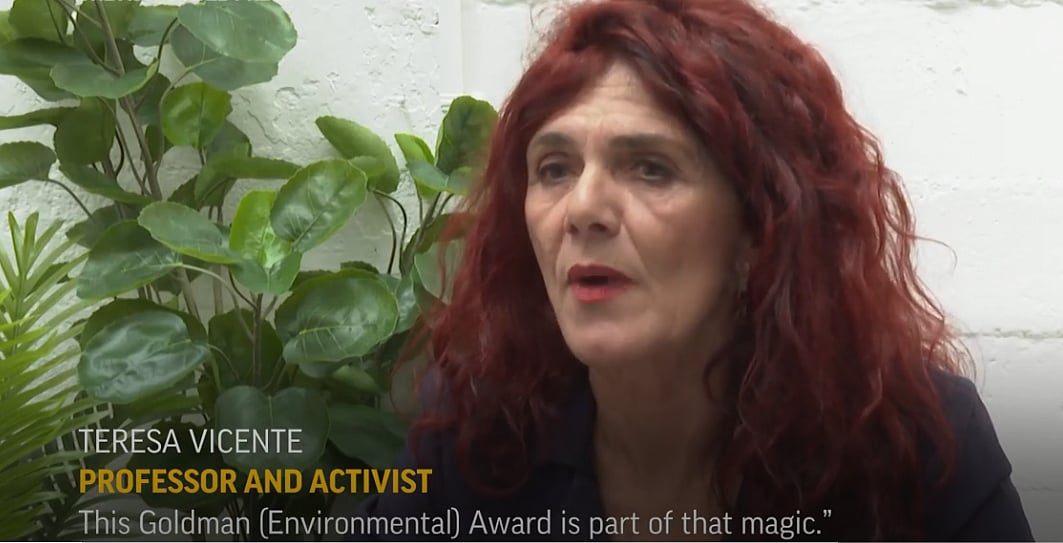 AP : Teresa Vicente Giménez, wins Goldman Environmental Prize, “Green Nobel"
