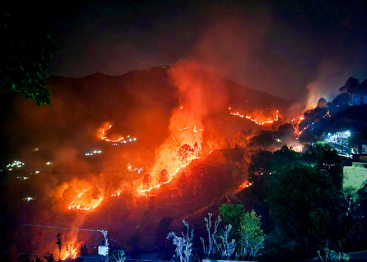 PTI : Nainital Forest Fire: Army Called In To Douse Blaze