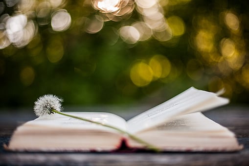A poem is a friend that lives and breathes in words. - null