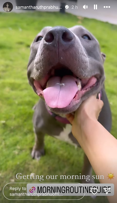 Samantha's Story