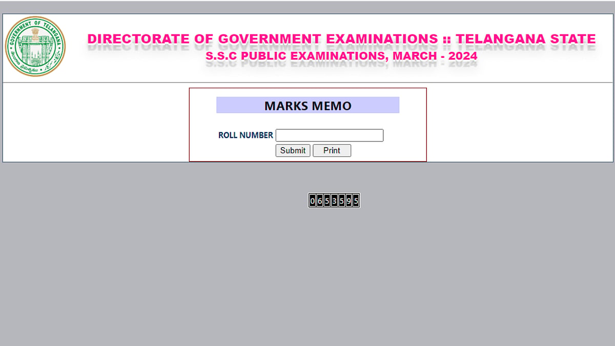 Screengrab from results.bsetelangana.org. : TS SSC Result 2024 Declared 