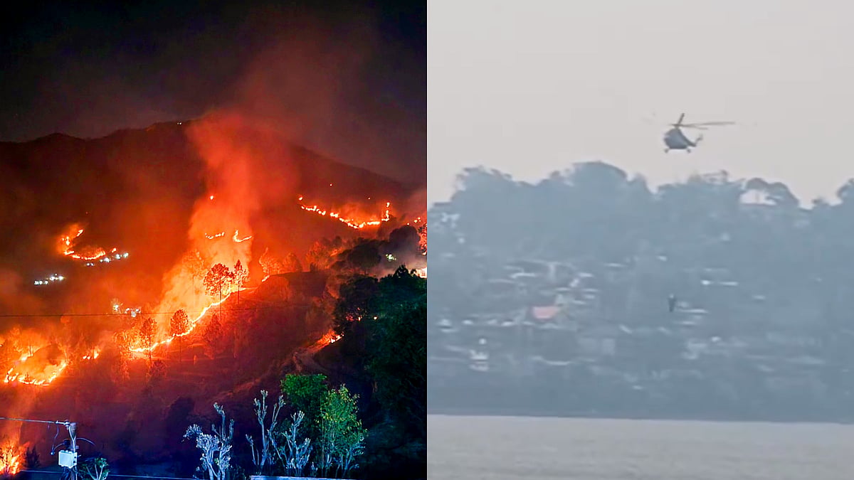 Nainital Forest Fire Crosses 36-Hour Mark - PTI/ANI 