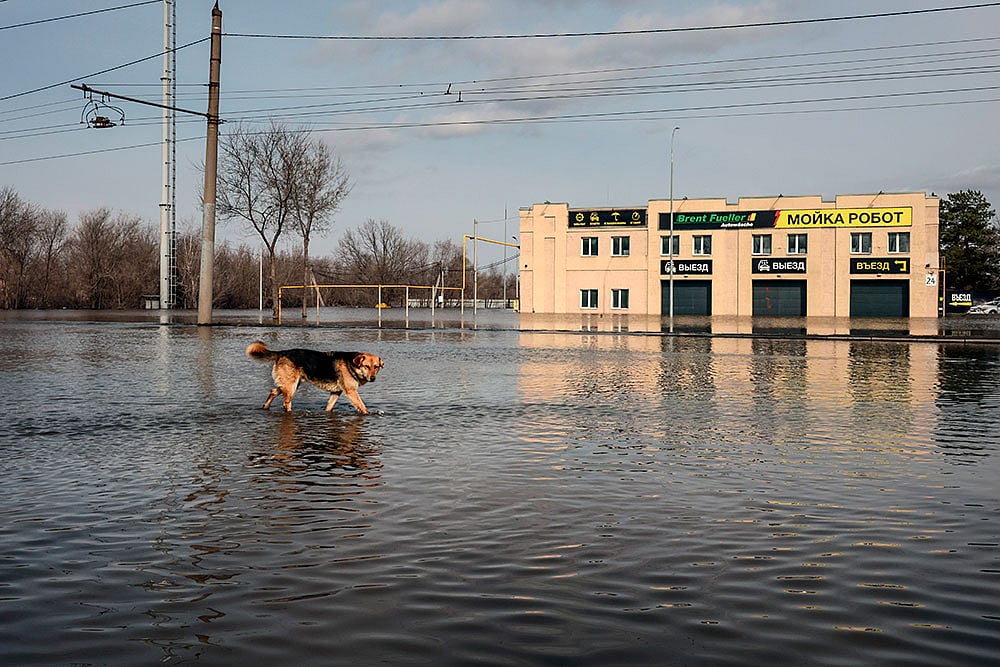 Russia Floods