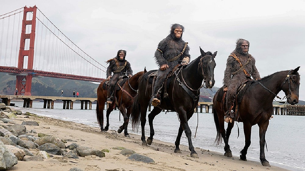 Lea Suzuki : ‘Kingdom Of The Planet Of The Apes’