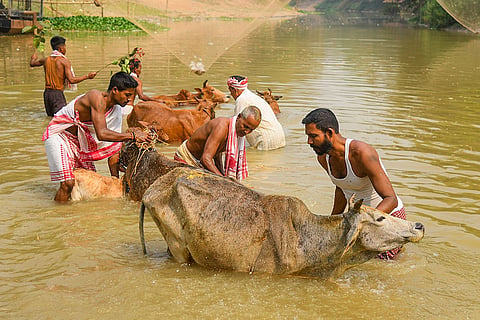 Bihu festival