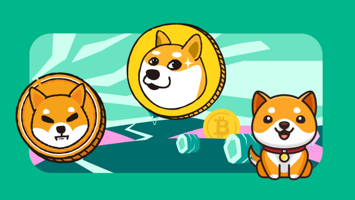 Shiba Inu Down By 15% In The Last Month