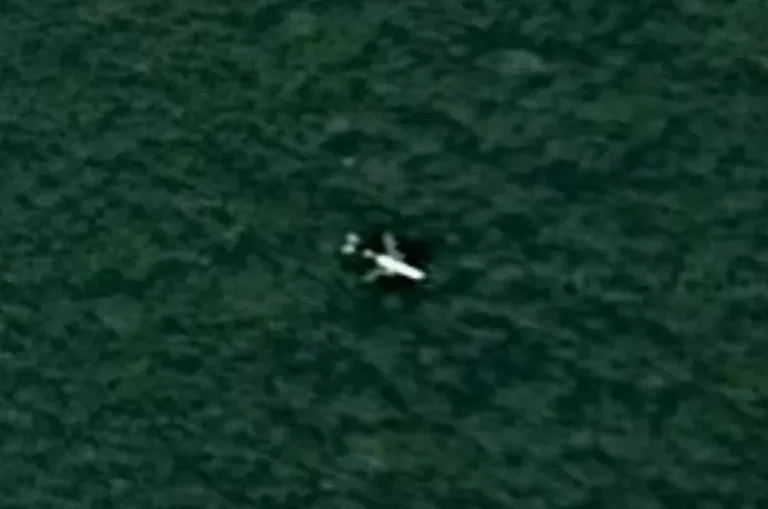 MH370 on Google Maps - Google/ Maxar Technologies