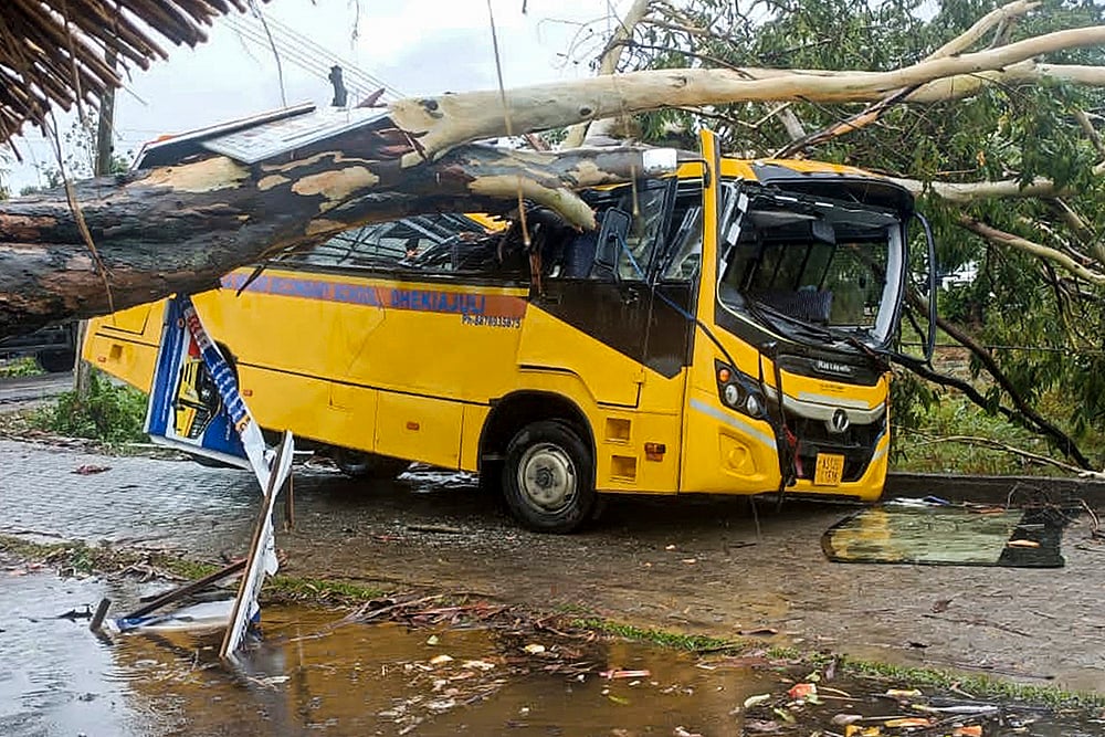 Cyclone Remal Aftermath photo_10