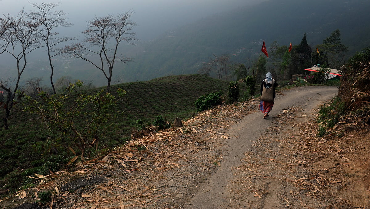 Darjeeling, West Bengal_Photo_5
