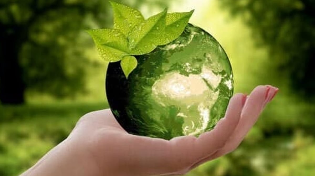 Carbon markets can contribute to that effort - null
