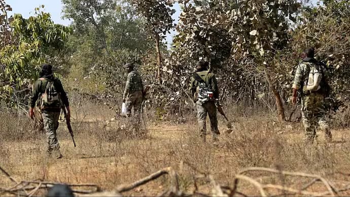 Representational Image  | - PTI
