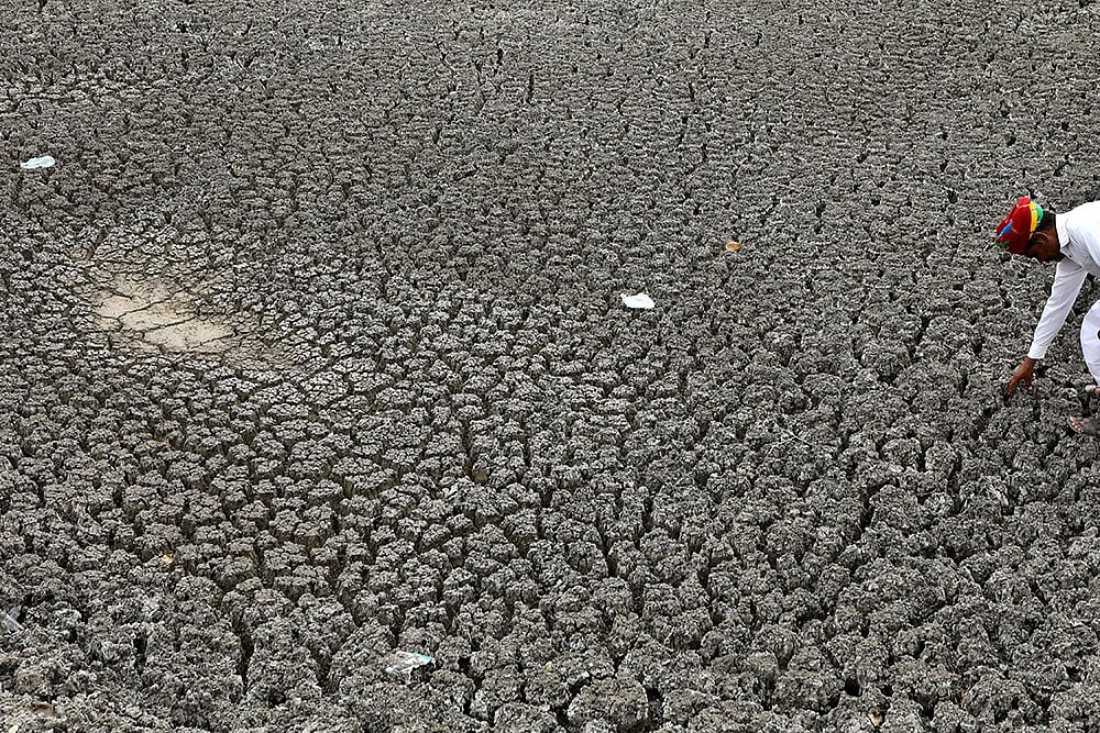 Photo: Suresh Kumar Pandey/Outlook : Water scarcity in Bikaner