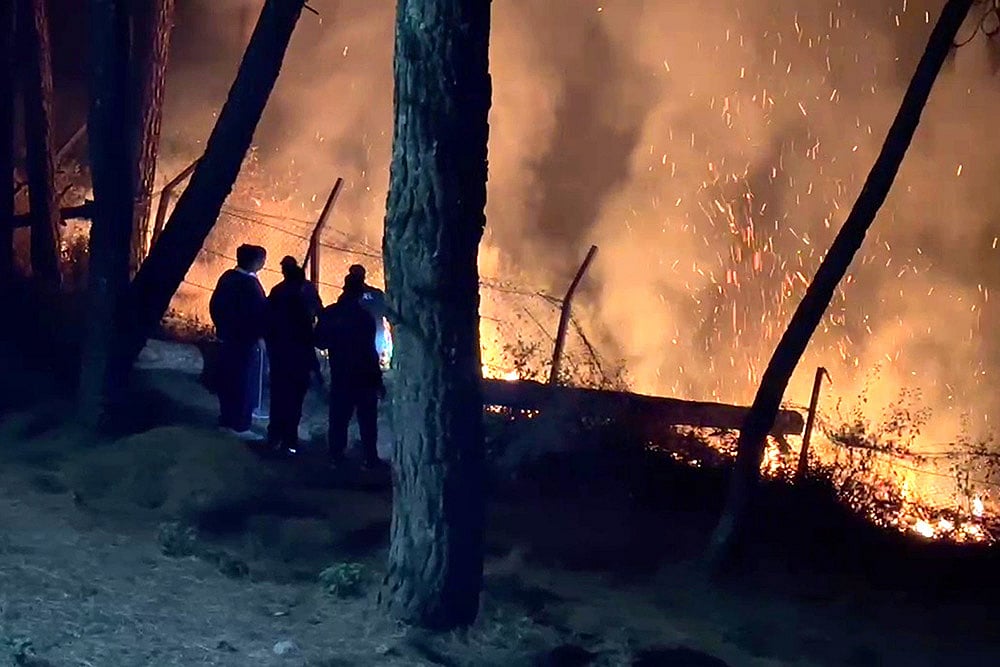 Forest Fire In Uttarakhand
