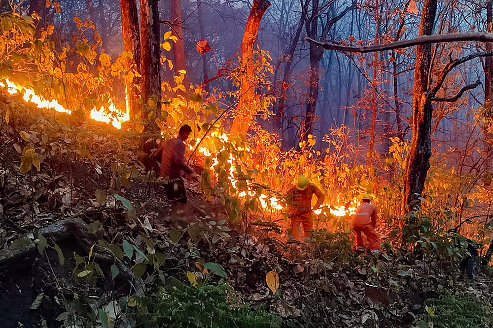 Kumaon Forest Fire