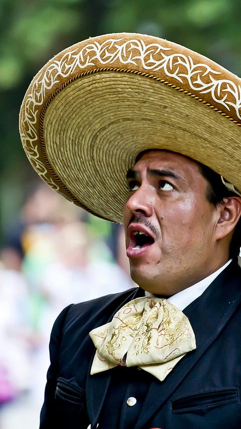Cinco De Mayo