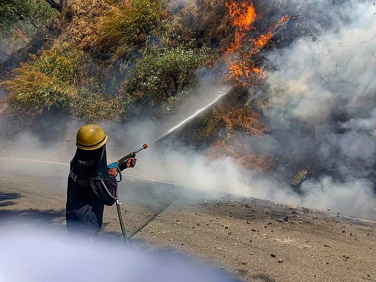 Fire in forest of Nainital district - PTI