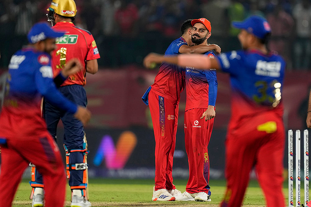 | Photo: AP/Ashwini Bhatia : IPL 2024: Royal Challengers Bengaluru vs Punjab Kings