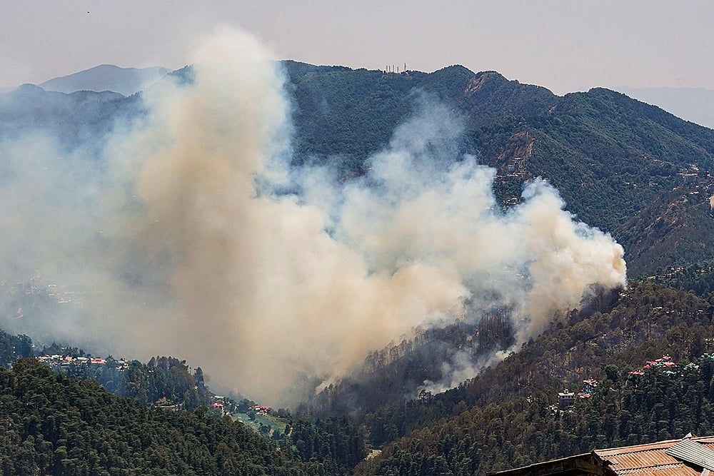 North India forest fires photos_6